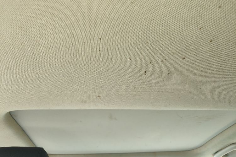 Hyundai Lafesta 2019 #20 Hyundai Lafesta 2019 car image #20