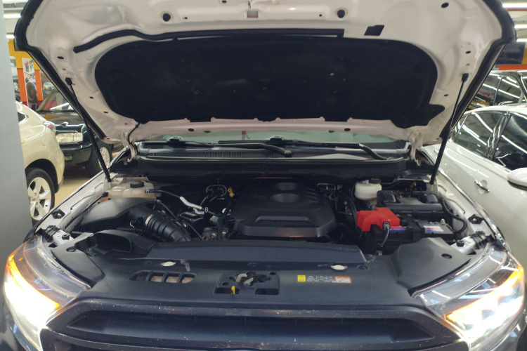 Ford Everest 2020 car image #20