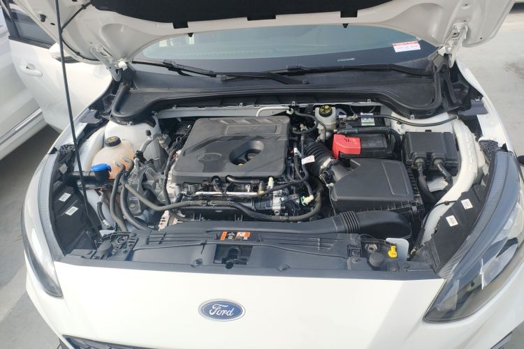 Ford Focus Active 2020 car image #20