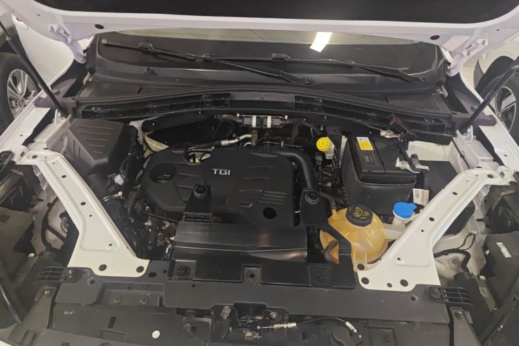 MG Pilot 2021 car image #20