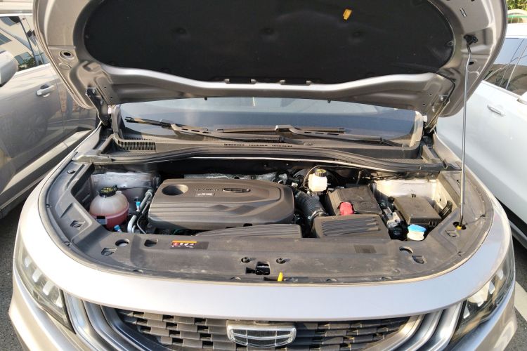 GEELY OkavangoR7 2021 car image #20