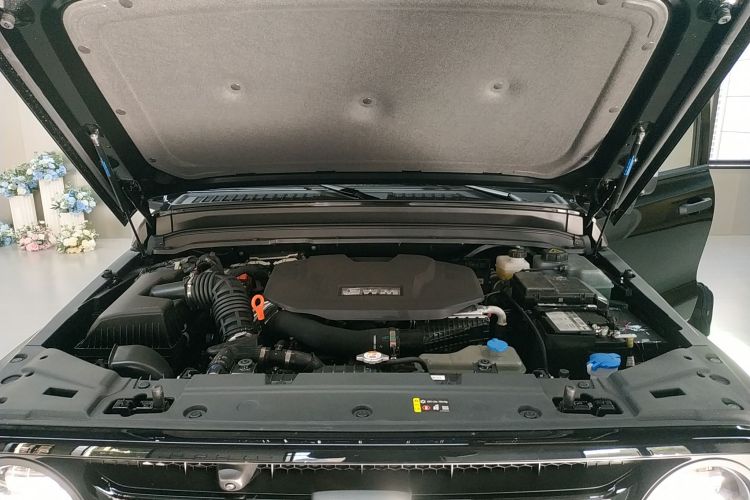 Tank 300 New Energy 2025 car image #20