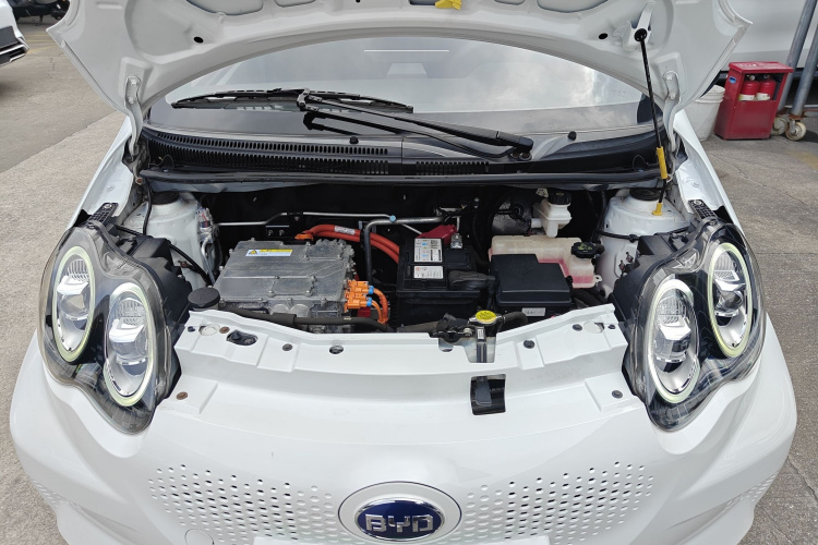 BYD e1 2019 car image #20