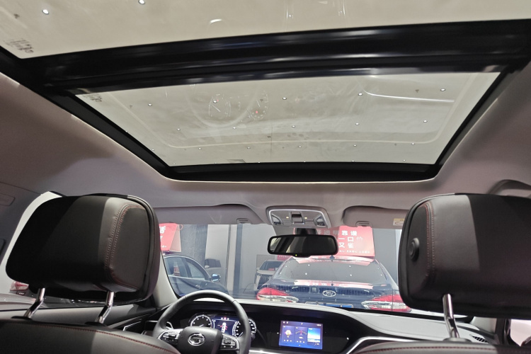 GAC Trumpchi GA8 2021 car image #20