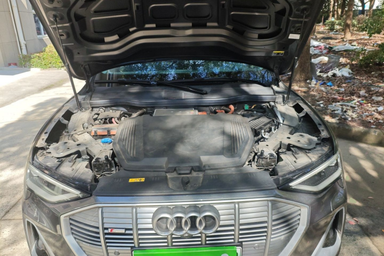 Audi e-tron 2022 imagen de coche #20