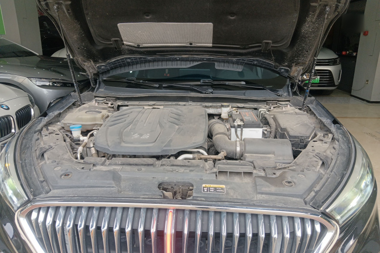 HongQi H5 2022 car image #20