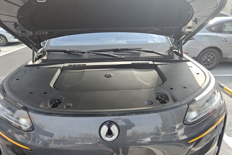 Denza N9 2025 car image #20