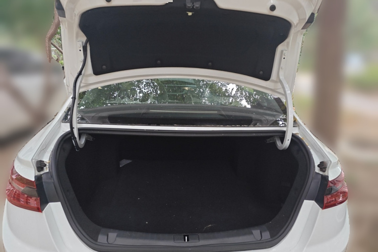 睿蓝汽车 枫叶60s 2023 汽车图片 #20