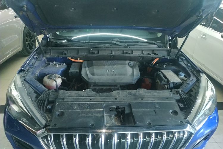 HongQi E-HS3 2019 car image #20