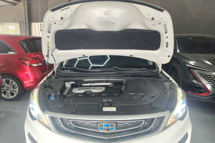 GEELY Emgrand GSe 2019 car image #20