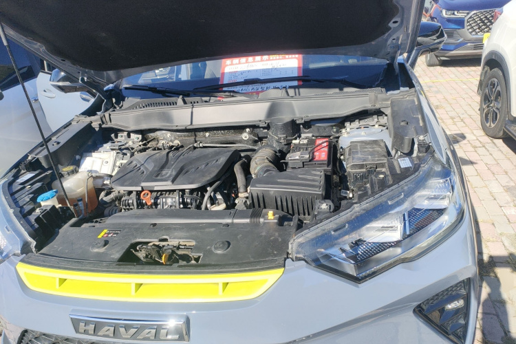 Haval H6S 2022 صورة سيارة #20