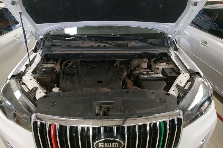 SWM斯威汽车 SWM斯威G01 2021 汽车图片 #20