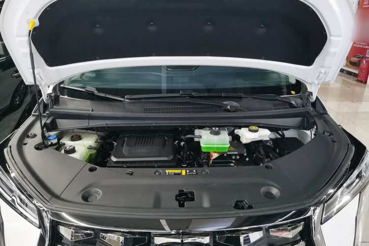 GAC Trumpchi Xiangwang M8 2025 car image #20