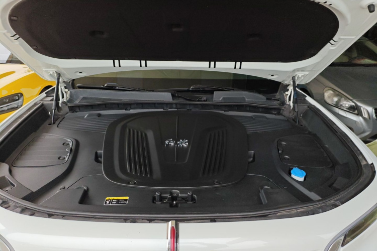 HongQi E-HS9 2021 immagine di auto #20