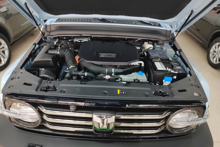 Tank 300 New Energy 2024 imagem de carro #20