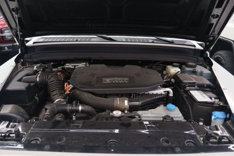 Tank 300 New Energy 2025 #20 Tank 300 New Energy 2025 car image #20