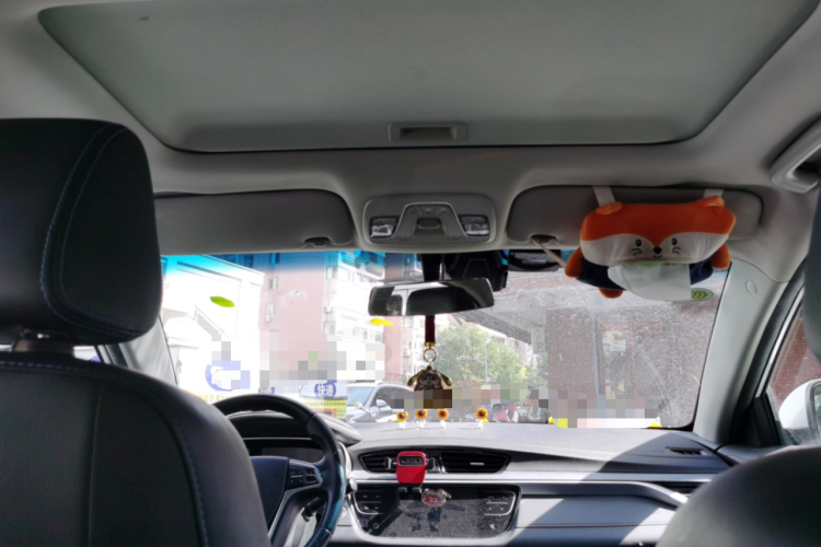 GEELY Emgrand New Energy 2018 car image #20