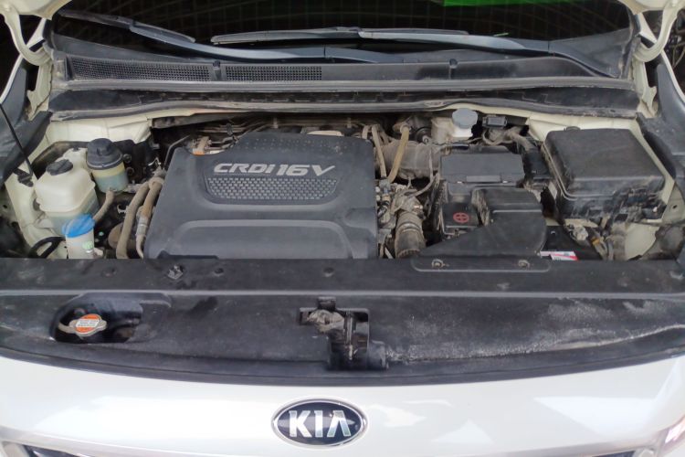 Kia Carnival (Imported) 2018 car image #20