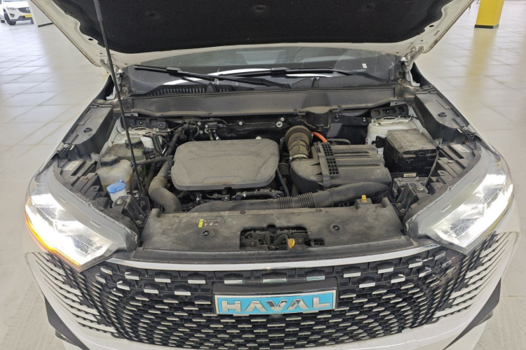 Haval H6 2022 #20 Haval H6 2022 car image #20