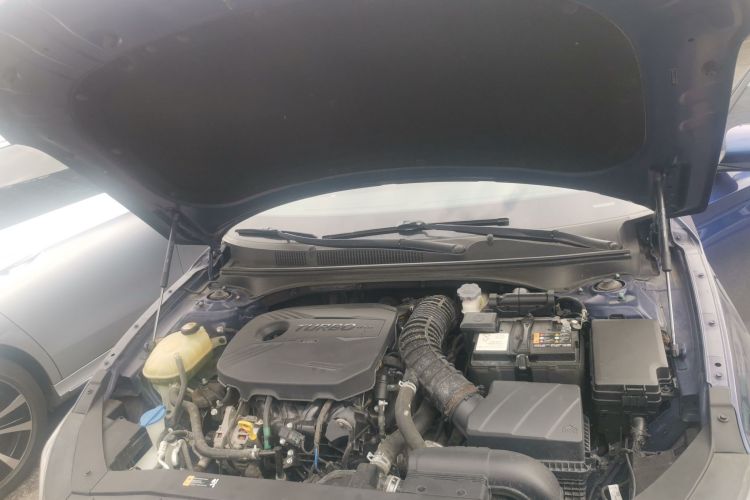 Hyundai Lafesta 2019 car image #20