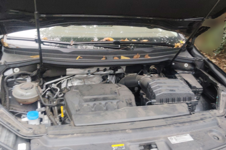 Volkswagen Viloran 2024 immagine di auto #20