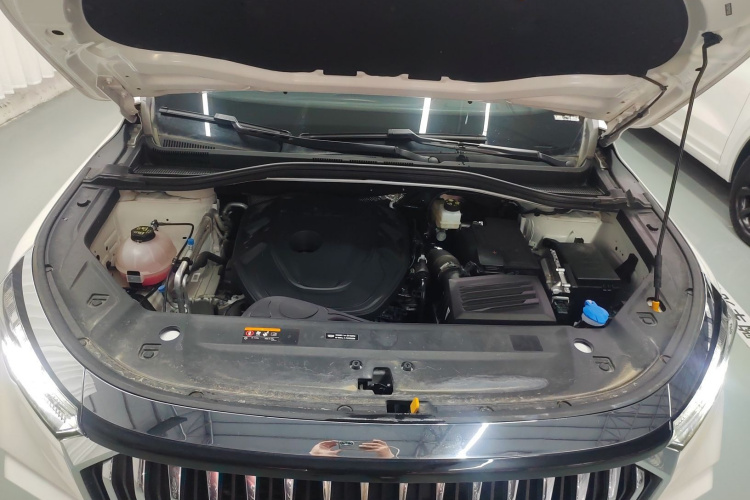 GEELY Okavango L 2024 car image #20