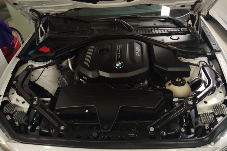 BMW 2 Series (Imported) 2016 car image #20