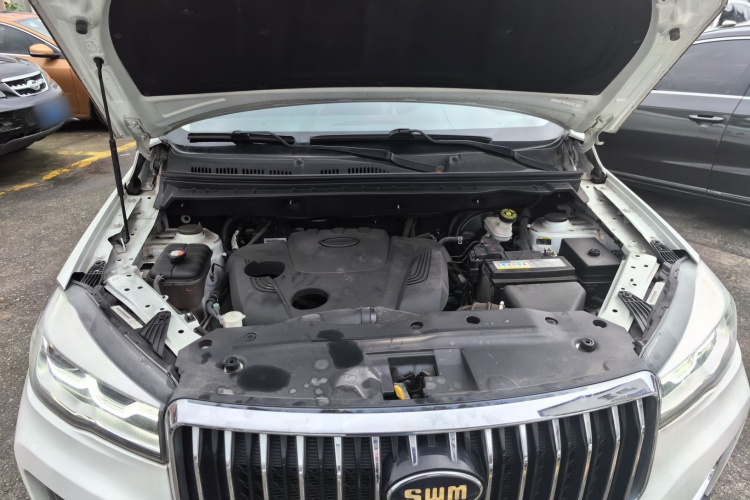 SWM斯威汽车 SWM斯威大虎 2019 汽车图片 #20