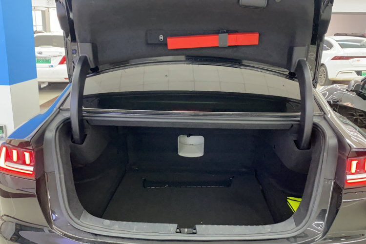 BYD e9 2021 car image #20