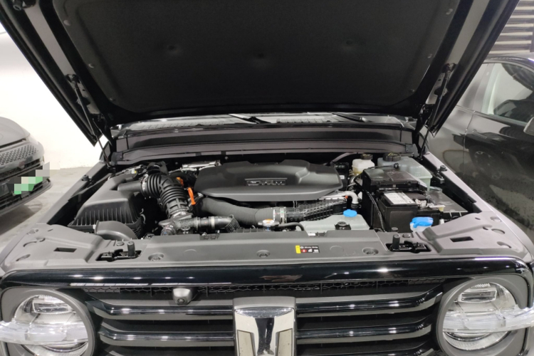 Tank 300 New Energy 2025 #20 Tank 300 New Energy 2025 car image #20