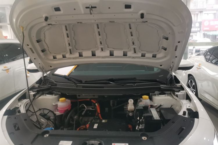 Neta X 2024 imagem de carro #20