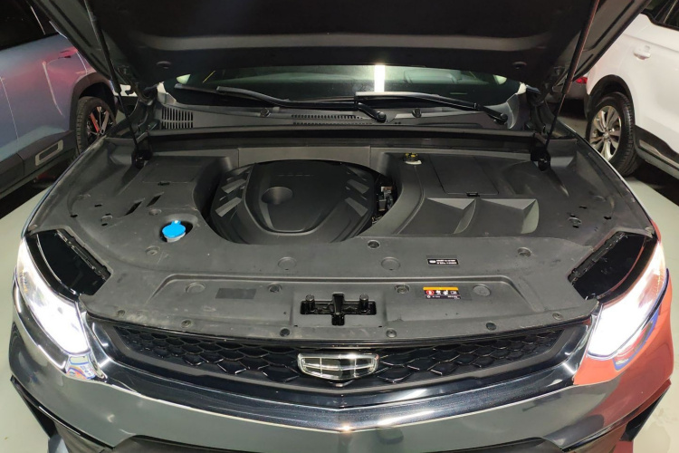 GEELY Tugella S 2021 immagine di auto #20