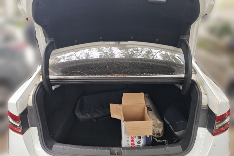 BYD Qin Pro New Energy 2018 car image #20