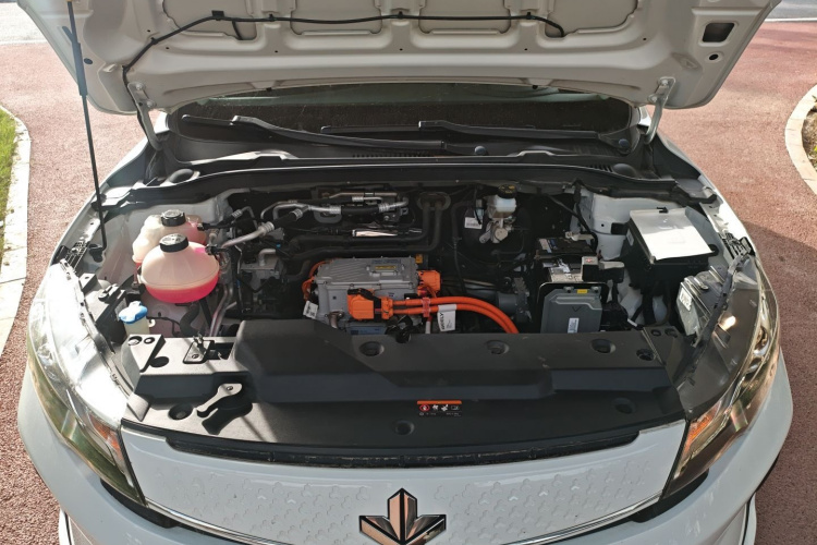 Livan Maple 60S 2023 imagen de coche #20