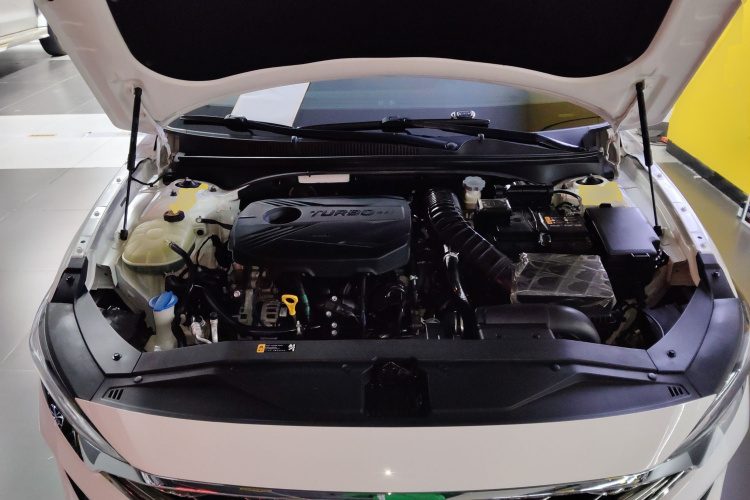 Hyundai Lafesta 2020 car image #20