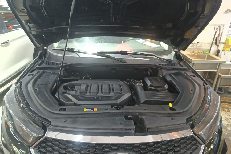 Ford Territory EV 2020 car image #20