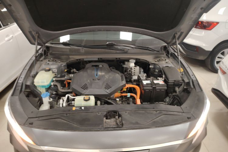 Hyundai Lafesta EV 2020 car image #20