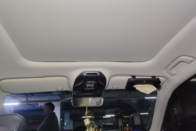 GEELY Tugella New Energy 2020 car image #20