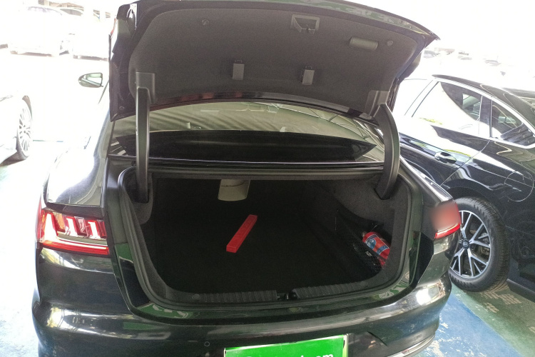 BYD e9 2021 #20 BYD e9 2021 immagine di auto #20