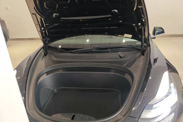 特斯拉 Model 3(进口) 2019 汽车图片 #20