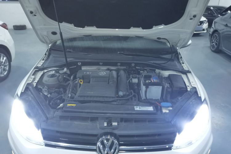 Volkswagen Golf 2019 #20 Volkswagen Golf 2019 car image #20
