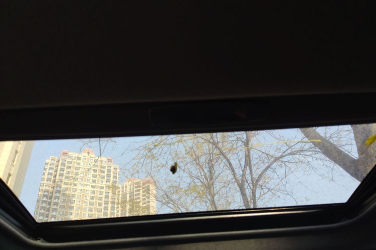 丰田 赛那SIENNA 2022 汽车图片 #20