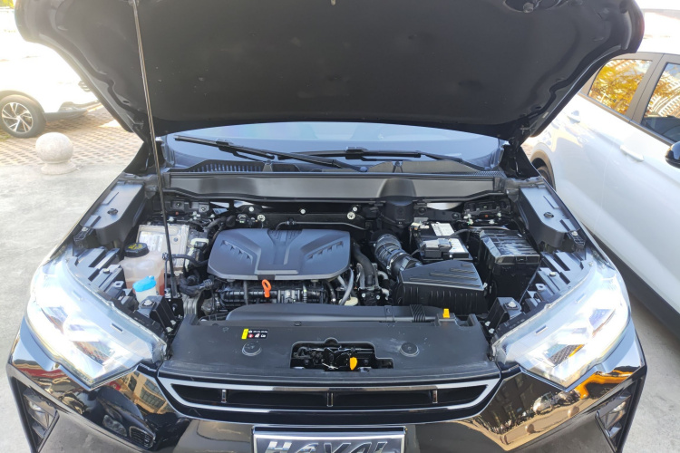 Haval H6S 2022 car image #20