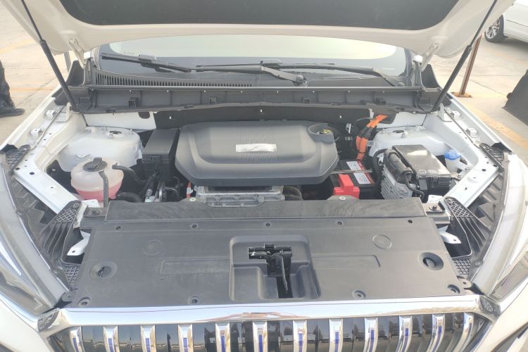 HongQi E-HS3 2020 car image #20