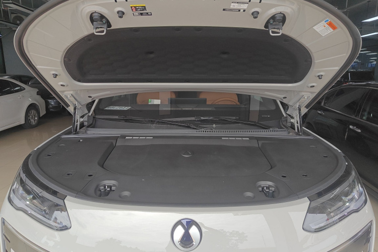 Denza N9 2025 car image #20