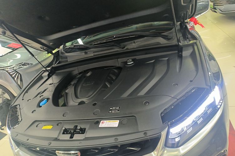 GEELY Tugella New Energy 2019 car image #20