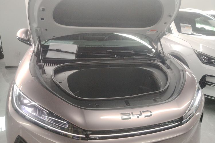 BYD Sea Lion 05 EV 2025 car image #20