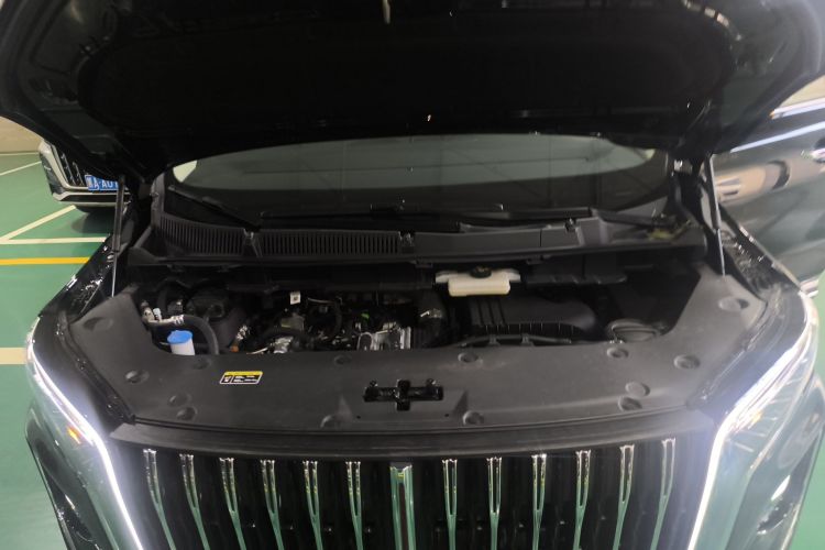 HongQi HQ9 PHEV 2024 #20 HongQi HQ9 PHEV 2024 car image #20