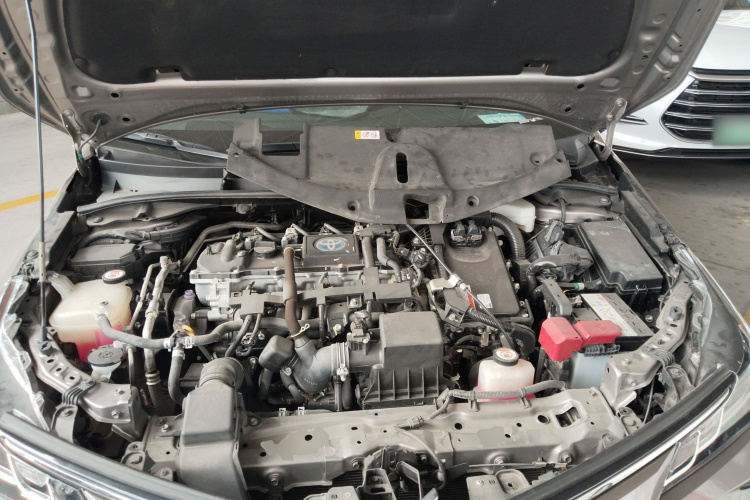 丰田 卡罗拉 2023 汽车图片 #20