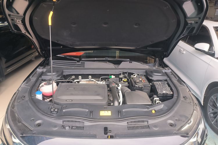 2024 car image #20
